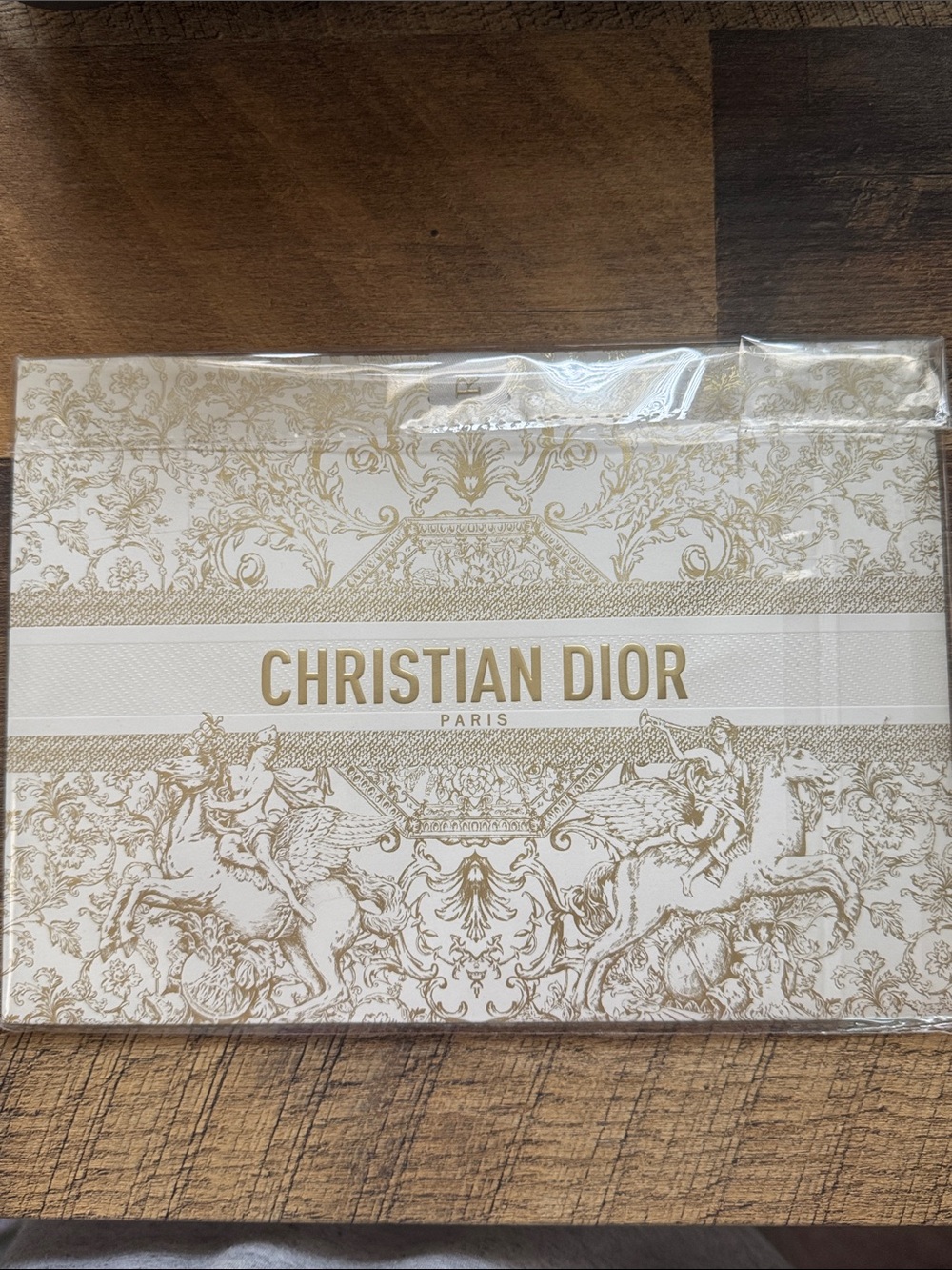 Christian Dior Gift Bag with Gold